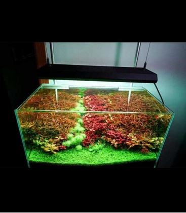 Chihiros Vivid II Black LED Aquarium Lighting 