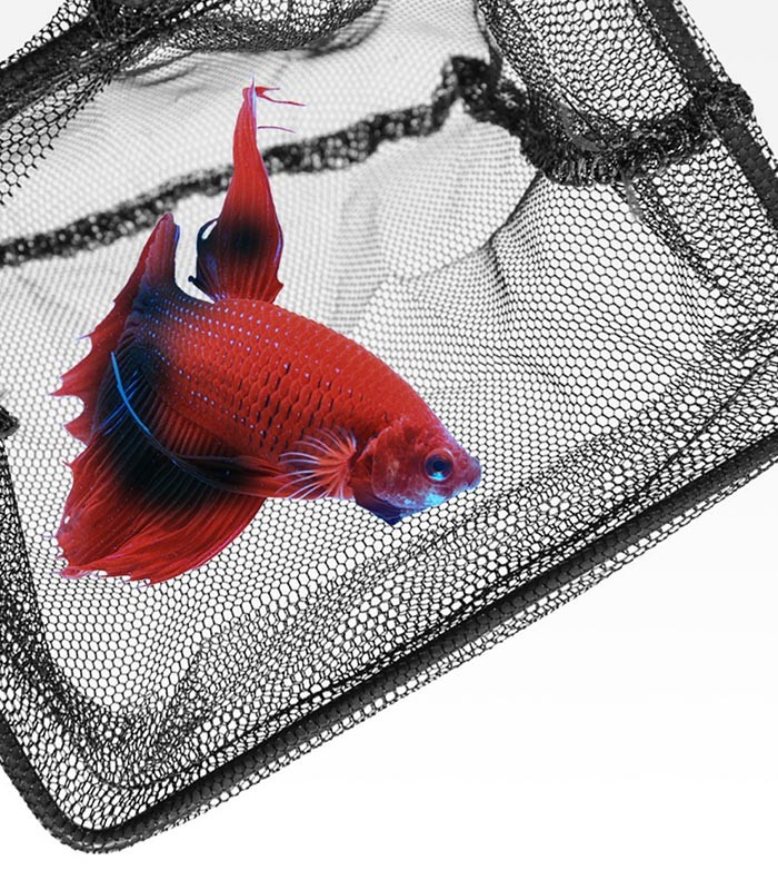 Seachem Fish Net 6 15x12.5cm SC-3223, Aquarium Online Shop