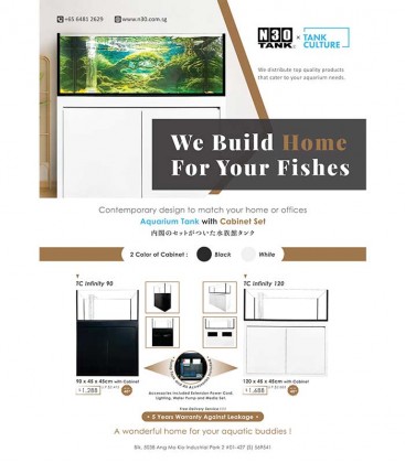 N30 TC Infinity 90 Flat Top Gold Fish Tank 90x45x45cm (Special Package)