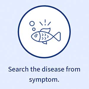 search fish disease from symptom
