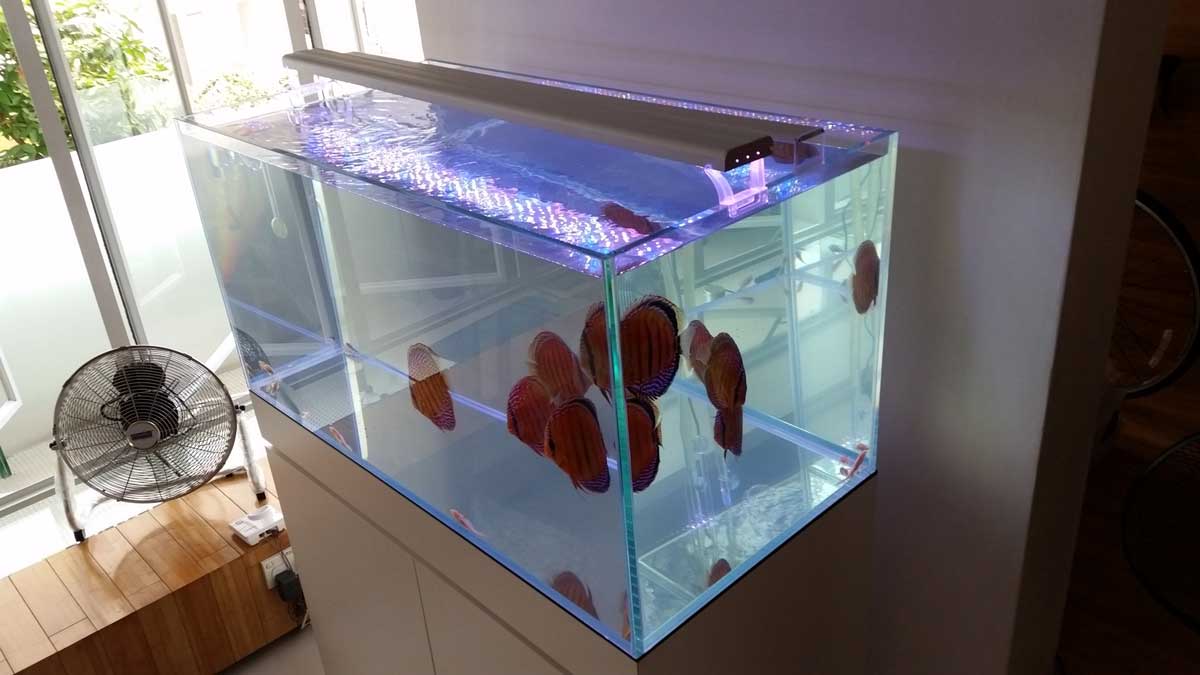 4 Feet Tanks - Custom-made 4ft Aquarium Cabinet - N30 Tank