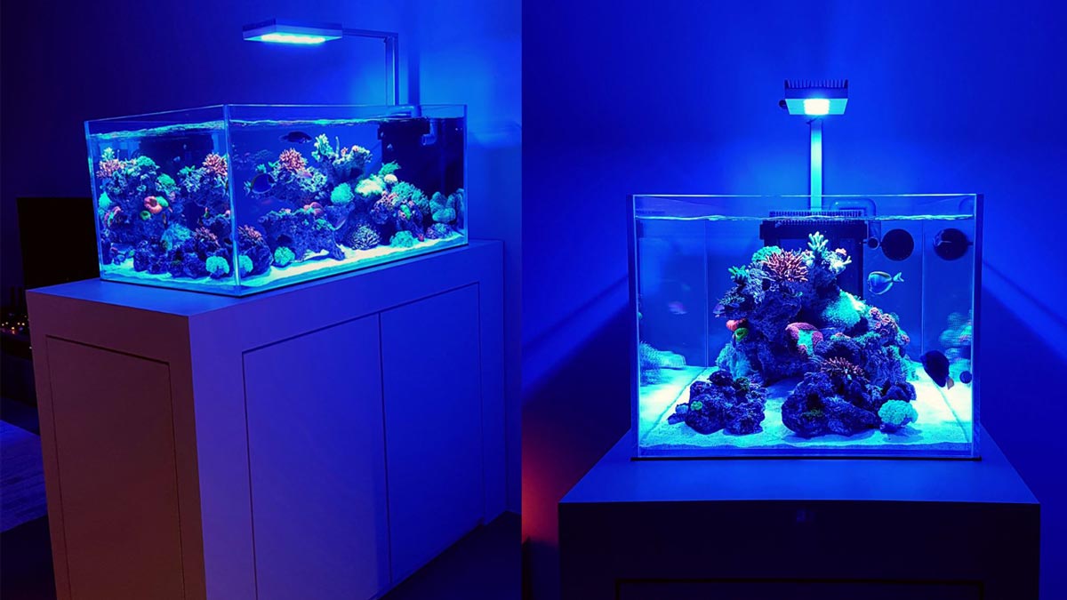 4 Feet Tanks - Custom-made 4ft Aquarium Cabinet - N30 Tank