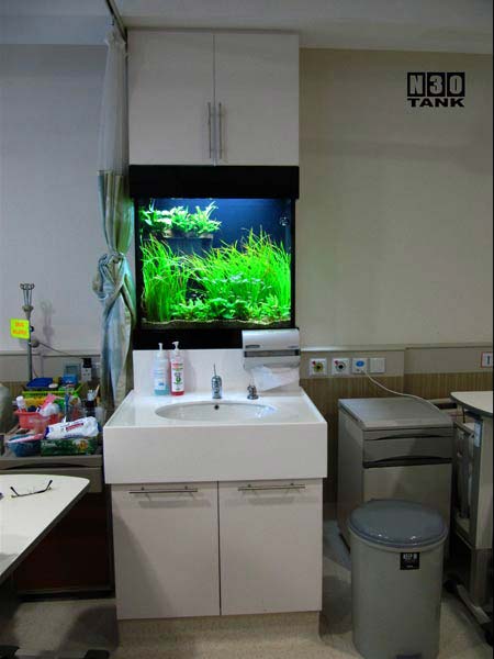 large modern fish tank for business lobby