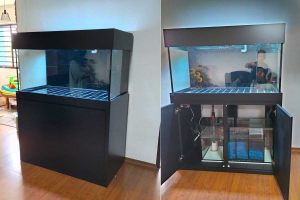 RMT-025: TC Aquario 400 aquarium tank with cabinet and sump