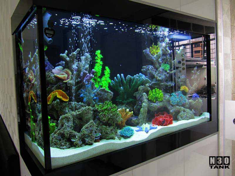 Aquarium Scaping Singapore - Aquascaping Service for Home & Office ...