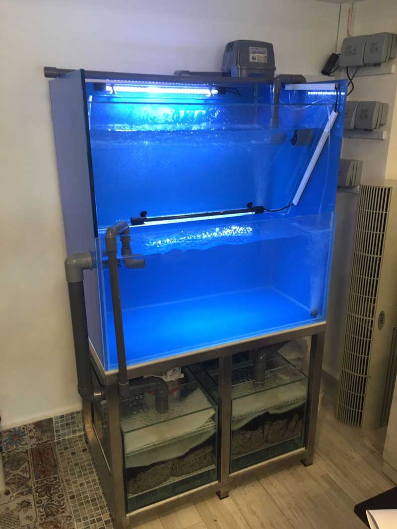 Seafood Tanks, Custom-Made Seafood Aquarium in Restaurant - N30 Tank