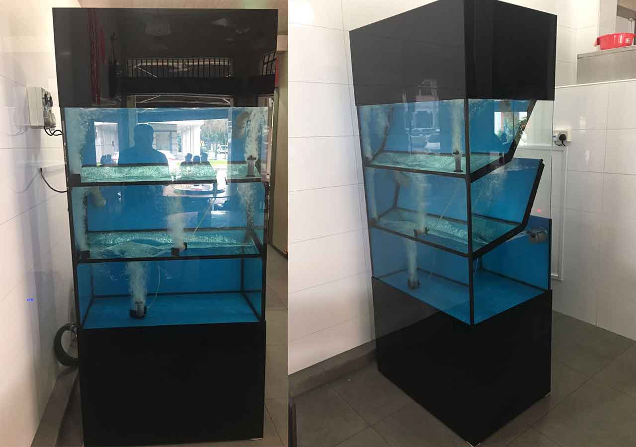 Seafood Tanks, Custom-Made Seafood Aquarium in Restaurant - N30 Tank