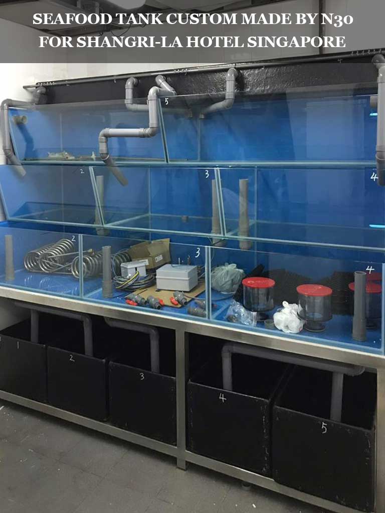 Seafood Tanks, Custom-Made Seafood Aquarium in Restaurant - N30 Tank