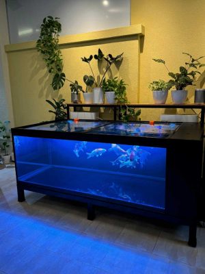 Unique-037: New low profile koi tank 6ft x 3ft x 2ft high with side ious filter