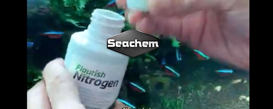 Seachem - Freshwater